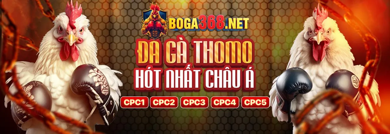 Đá Gà Trực Tuyến G888 Win - Sân Chơi Đỉnh Cao 2026