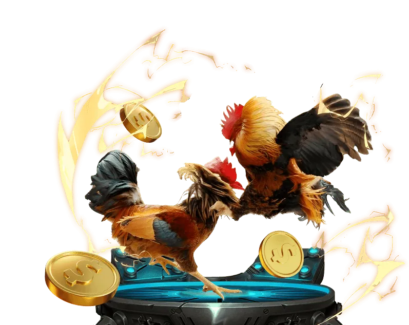 Đá Gà Trực Tiếp G888 Win